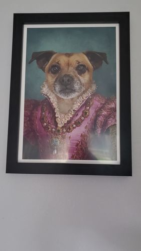 Customer photo review of The Countess - Custom Vintage Pet Portrait