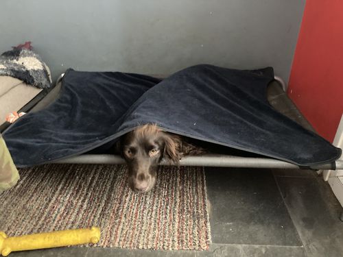 Customer video review of Navy Bamboo Towel Blanket