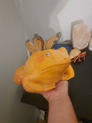 Customer photo review of Bubbles the Monarch Frog