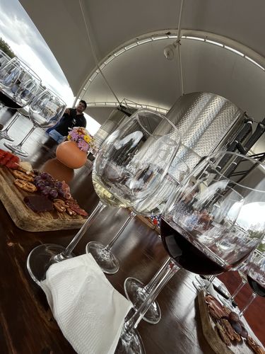 Customer photo review of Recorrido SCIELOMX