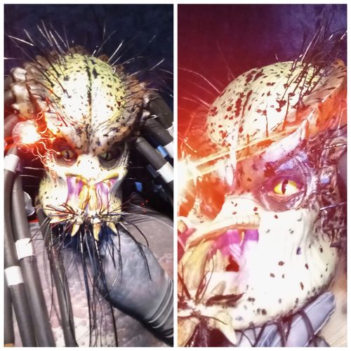 Customer photo review of Orochimaru Catra Yellow Snake Eye Sclera Contacts