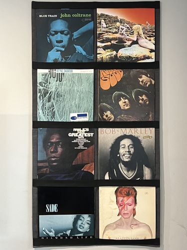 Customer photo review of 12" Vinyl Record Display Frame - LP Wall Storage
