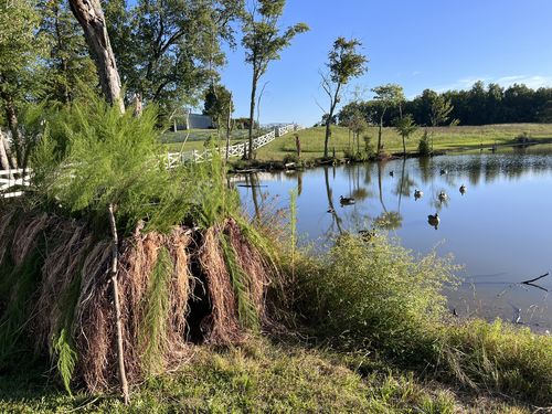 Customer photo review of Hunting Blind Raffia Grass (Individual)