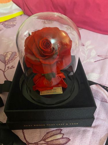 Customer photo review of Mini Everlasting Rose - Red