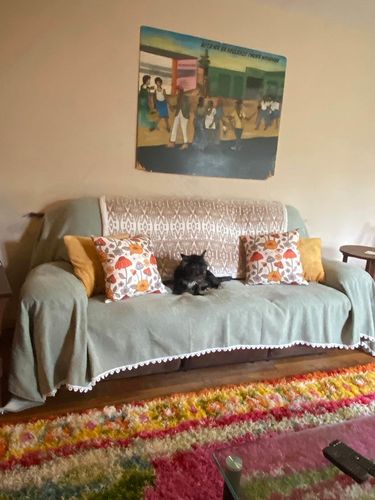 Customer photo review of Vintage Couch Cover for Dogs Couch Cushion Covers with Tassel