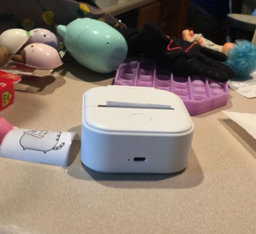 Customer photo review of ThermaPrint™