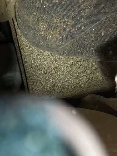 Customer photo review of Genesis Rock Booster