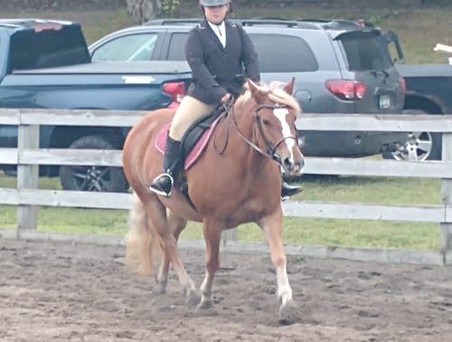 Customer photo review of Gut X » up to 63% Off