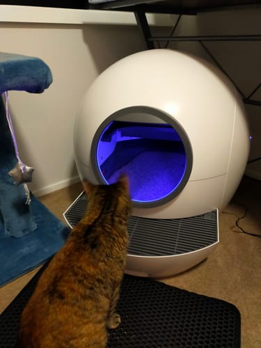 Customer photo review of PaWz Automatic Smart Cat Litter Box