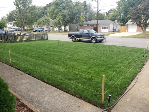 Customer photo review of N-Ext RGS Soil & Plant Stimulant