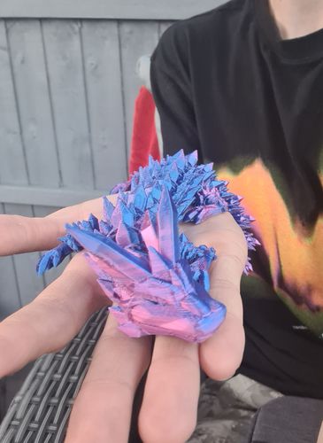Customer photo review of 3D Printed Crystal Dragon Sensory Fidget Toy