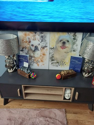 undefined review of Your Pet as Watercolor Portrait image 1 out of 1