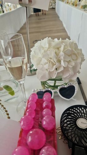 Customer photo review of RENT Cult Gaia Eos Clutch Qajar Rose (RRP £340)