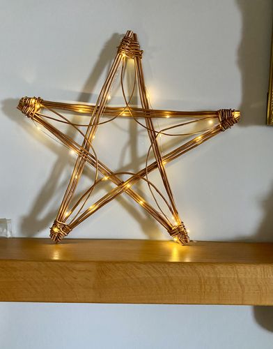 Customer photo review of Getting Started with Willow - Online Course and Kit