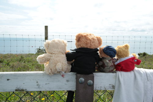 Viv review of 6" Red Arrows Beanie Bear image 1 out of 1