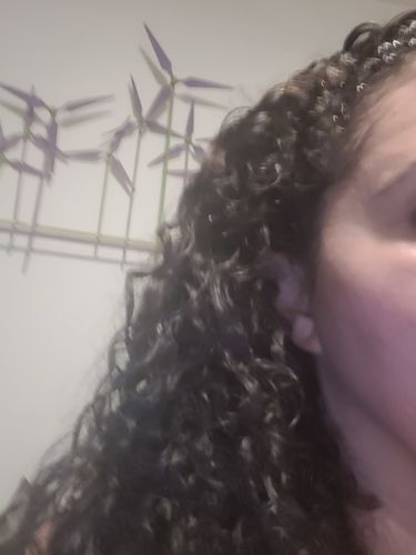 Customer photo review of Mango Moringa Moisture Max System, 4-Piece Set