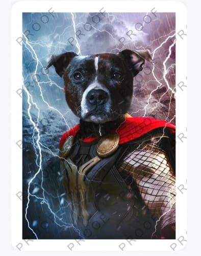 Customer photo review of God of Thunder - Custom Pet Portrait