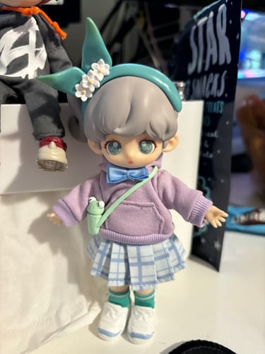 Customer photo review of Teennar High School Student's Club Series Action Figure BJD Blind Box