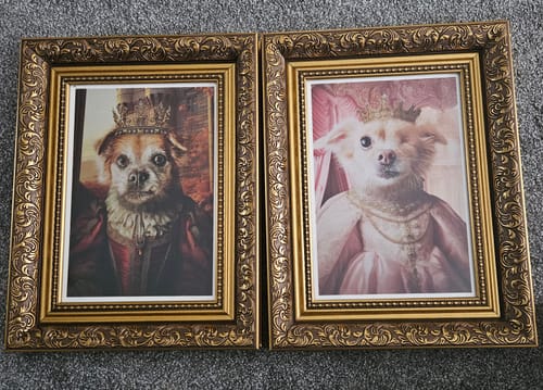 Customer photo review of The Ice Princess - Custom Pet Portrait