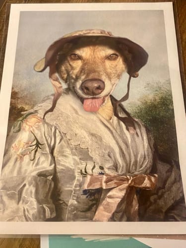 Customer photo review of The Cherry Picker - Custom Vintage Pet Portrait