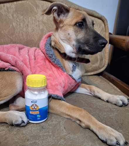 Customer photo review of Oh My Dog! 2Go - 1 pz 850 gr + 1 pz de 250 gr + Envío GRATIS