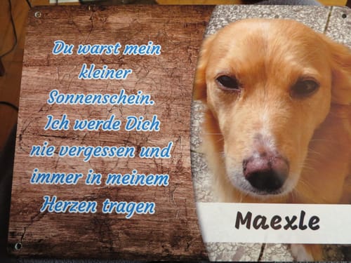 Customer photo review of Hunde-Türschild mit Foto & Wunschtext (UV- UND WETTERFEST)