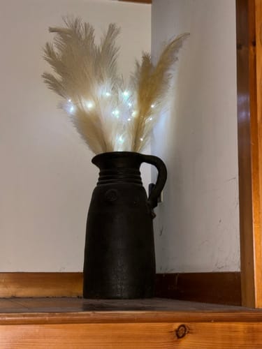 Customer photo review of Fluffy Dried Pampas