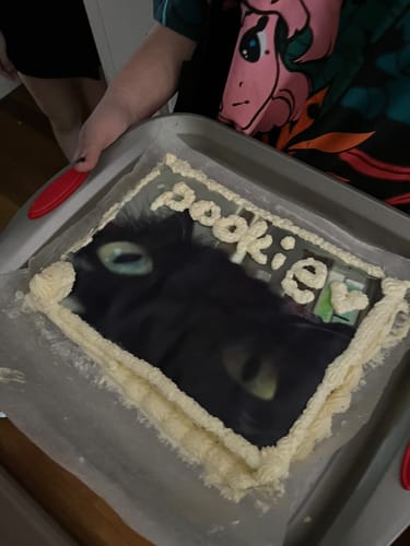 Customer photo review of A4 Rectangle Custom Edible Icing Image