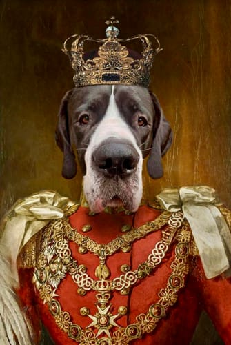 Customer photo review of The Prince - Custom Vintage Pet Portrait