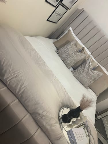 Customer photo review of Lynx Wing Bed