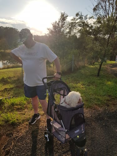 Customer photo review of PaWz Large Dog Stroller - 3 Wheels