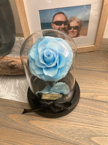 Customer photo review of Mini Everlasting Rose - Purple
