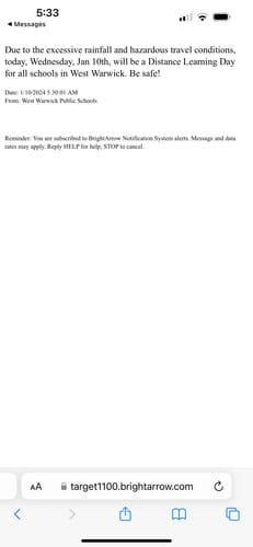 Customer photo review of Brave Belt Ring