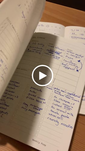 Customer video review of Fast Brain Daily Productivity Planner- Single Notebook