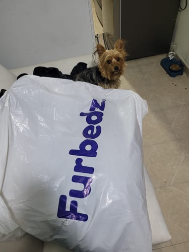 Customer photo review of Cama Antiestrés Para Perros