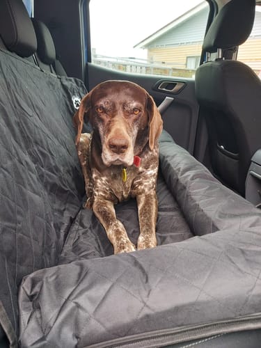 Customer photo review of Car Seat Cover