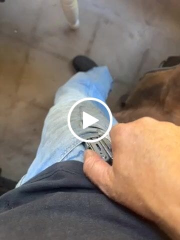 Customer video review of TerraTAC™ x14 Full House Bundle