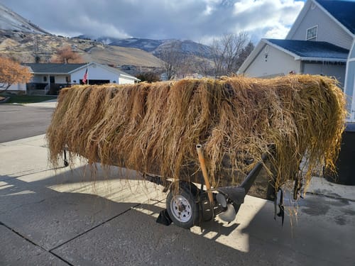 Customer photo review of Hunting Blind Raffia Grass (Pack)