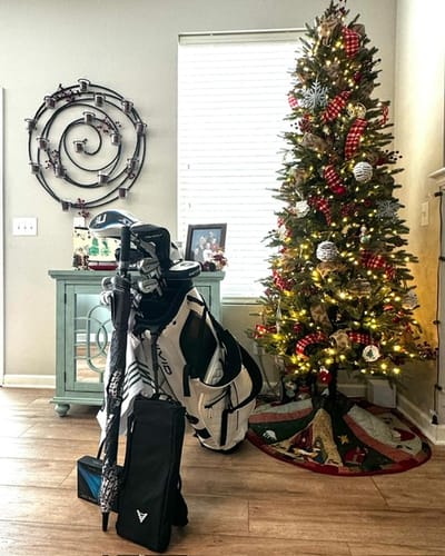 Customer photo review of LUX 2.0 Stand Bag