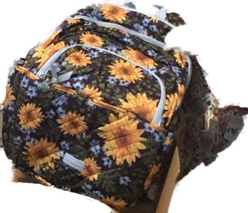 Customer photo review of The Wanderland Bonchemin 15.6 Inch Campus Backpack