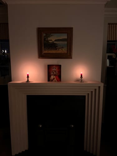 Customer photo review of The King – Custom Vintage Pet Canvas