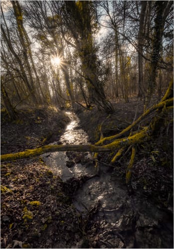 Customer photo review of Rustic Winter LIMITED Lightroom Presets Pack