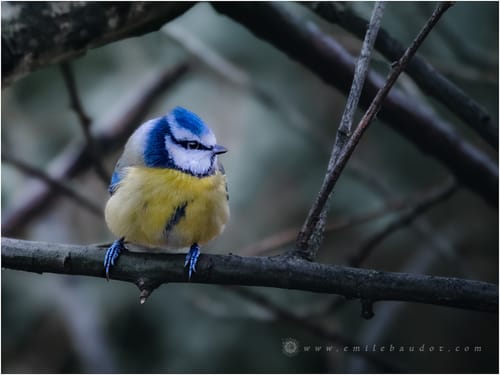 Customer photo review of Cold Tones LIMITED Lightroom Presets Pack