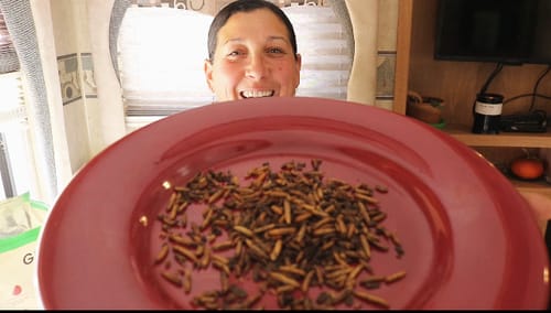 Customer photo review of GrubTerra Dried Larvae