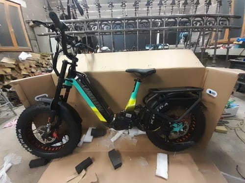 Customer photo review of Lankeleisi RX800 Plus 1000W 20" Fat Bike Full Suspension Electric Bike 48V 20Ah Samsung Battery SUV E-Bike