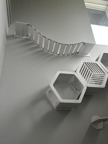 Customer photo review of Cat Bridge Walkway White