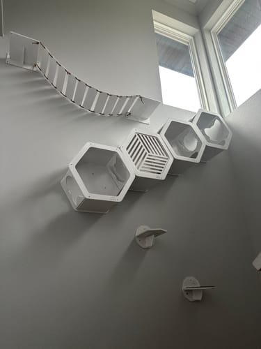 Customer photo review of Cat Climbing Wall Shelves White