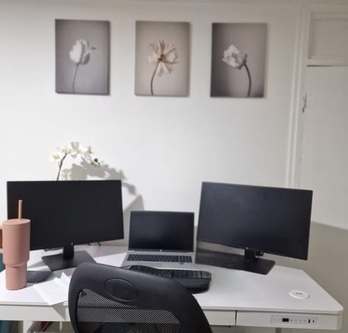 Customer photo review of Desk Height Adjustable - Wood Top