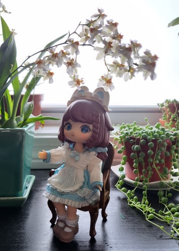 Customer photo review of Liroro Summer Island Series Action Figure BJD Blind Box