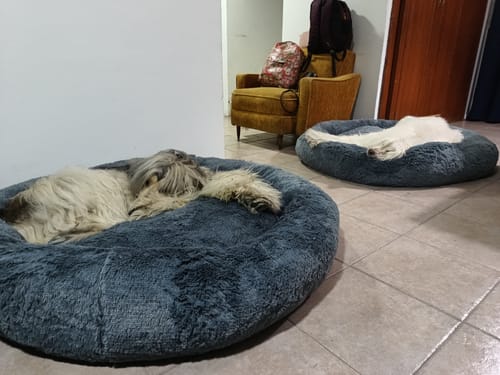Customer photo review of Cama Antiestrés Para Perros